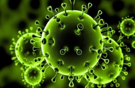 پیشرفت‏های اخیر در تست‎های تشخیصی عفونت‏های ویروسی 