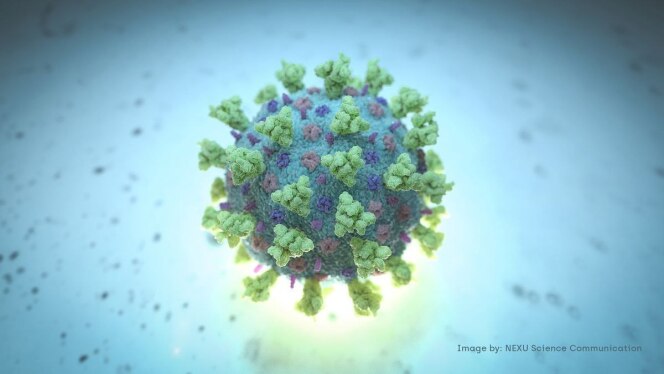 ویروس کرونا از اوایل ۲۰۲۰ به صورت ناشناخته و گسترده شیوع پیدا کرده بود