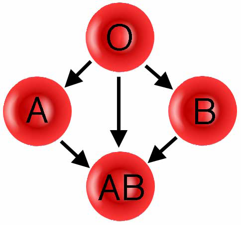 سیستم گروه خونی ABO و RH